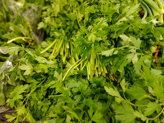 Parsley, green scent, Petroselinum crispum, is an herbaceous plant. Native to the central Mediterranean region, naturalized throughout Europe and widely cultivated as a condiment or vegetable. 