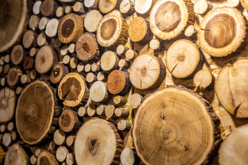 Round wooden unpainted solid natural ecological soft colored brown and yellow stumps background, Tree cut sections different sizes for pad mat background texture. Do It Yourself art concept.