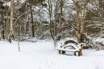 A beautiful landscape view of open British woodland with a empty snow covered bench during a rare heavy snowstorm