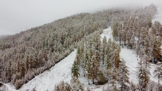 Volo col drone sulla prima neve la mattina presto