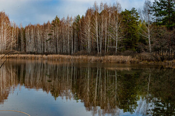October forest and lake!