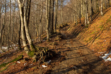 Hiking trail in Bieszczady Mountains in Poland. Late autumn and first snow. 