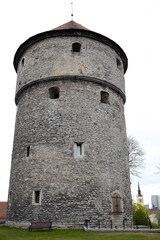 Fototapeta na wymiar Tower in Tallinn