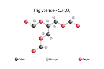 Molecular formula of triglyceride. Triglyceride is an ester of glycerol (glycerine) and three fatty acids. It is the main component of vegetable and animal oils. - obrazy, fototapety, plakaty