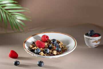 Bowl of granola with yogurt, milk and fresh raspberries, blueberries, mango for a healthy breakfast on the dark background
