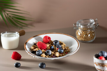 Bowl of granola with yogurt, milk and fresh raspberries, blueberries, mango for a healthy breakfast on the dark background