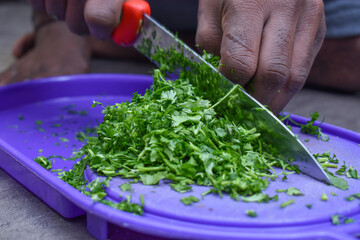 closeup shot of Chopping fresh green coriander with knife on vegetable chopping board