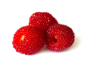 Berries Tibetan raspberry, Rbus rosiflius with leaves