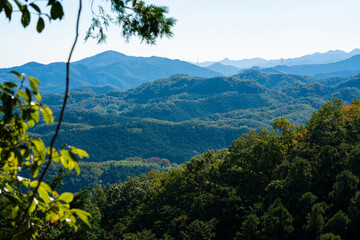 埼玉県金勝山の山頂から望む景色