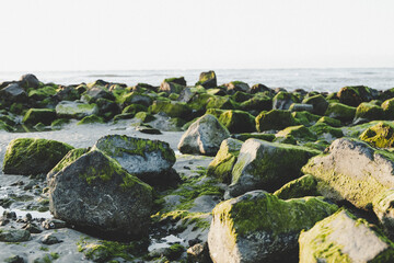 rocks on beach