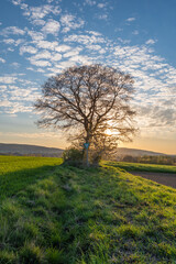 Country landscape in sunshine in Germany