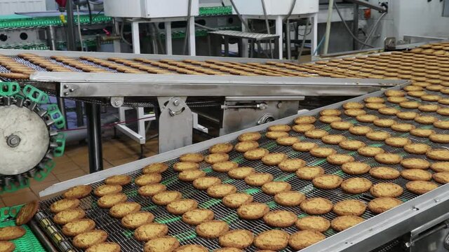 conveyor with cookies with filling at a confectionery factory