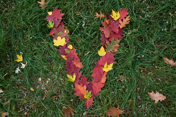 The letter V, lined with bright fallen leaves against a background of green grass.