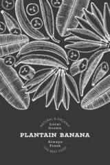 Hand drawn sketch style plantain banner. Organic fresh fruit vector illustration on chalk board. Retro exotic banana fruit design template