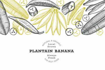 Hand drawn sketch style plantain banner. Organic fresh fruit vector illustration. Retro exotic banana fruit design template - obrazy, fototapety, plakaty