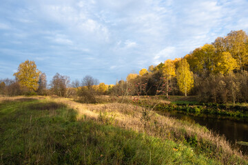 Autumn landscape with a small river and a bank with thick, tall and dry grass.
