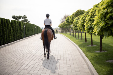 Back view of female horseman riding brown Thoroughbred horse on pavement near green garden in countryside. Concept of rural resting and leisure. Idea of green tourism. Sunny daytime