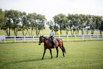 Female horseman riding brown Thoroughbred horse on green meadow in countryside. Concept of rural...
