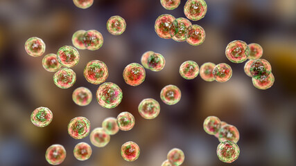 Bacteria Pediococcus, 3D illustration