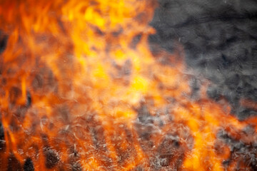 Obraz premium Dry grass is burning. Fire in the field in spring.