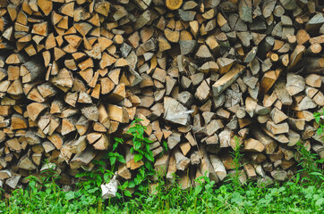 Firewood stacked near the wall. Choped stacked dry  firewood.