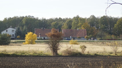 autumn in the countryside