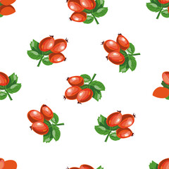 Rose hip or wild rose berry natural autumn seamless pattern