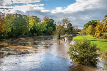 River Teviot in Flood after October 2021 rains in The Scottish Borders