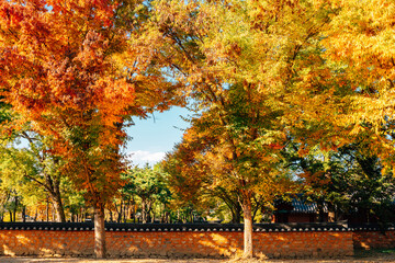 Fototapeta na wymiar Jeonju Hanok Village Gyeonggijeon Hall at autumn in Jeonju, Korea