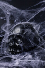 still life of black skull with cobwebs black background