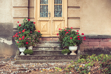 Fototapeta na wymiar Old, vintage door with flowers decorations in front
