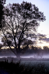 sunrise in Belgium