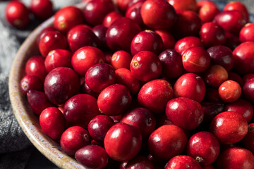 Healthy Red Organic Cranberries