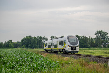 Szynobus pomiędzy polami © Erap2
