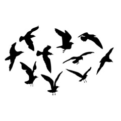 Silhouette set of flying seagulls birds on white background. Inspirational body flash tattoo ink of sea birds. Vector.
