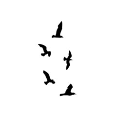Set of seagulls birds, nautical sailor tattoo sketch. Black stroke of flying sea gull silhouettes on white background. Marine set. Drawings of different shapes of water birds in the flock. Vector.