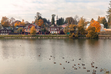 Fototapeta premium Ducks on water surface in front of low-rises and trees against the sky by autumn day