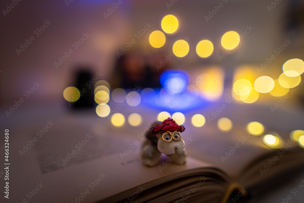 Canvas Prints Small turtle toy on an open book in a room