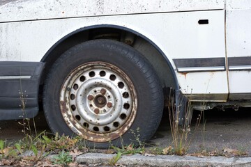 vergessene Schrottautos mit Moos und Flechten