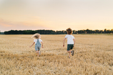 Happy and free people, children run through the beveled field of wheat, people from behind