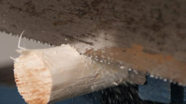 Close up sawing off a piece of round wood with a rusty saw in slow motion.