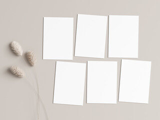six vertical cards mockup with dry plant