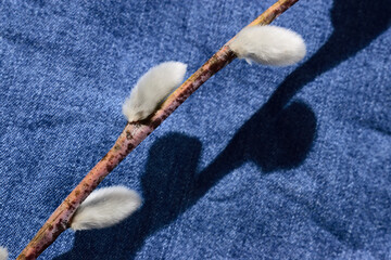 a willow twig lies on denim with a copy space