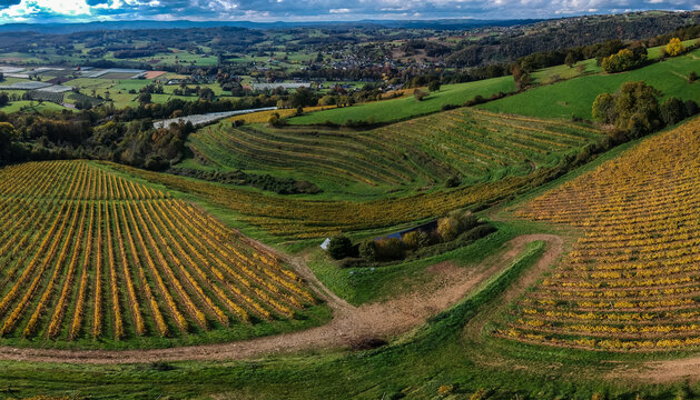 Allassac (Corr&egrave;ze, France) - La Chartroulle - Vue a&eacute;rienne des vignobles de la vall&eacute;e de la V&eacute;z&egrave;re en automne
