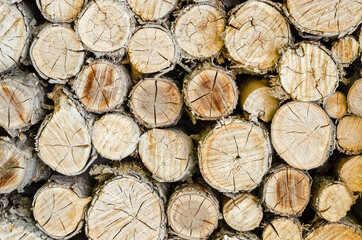 Background of round sawn wooden logs with a gray-brown tint with selective focus for design
