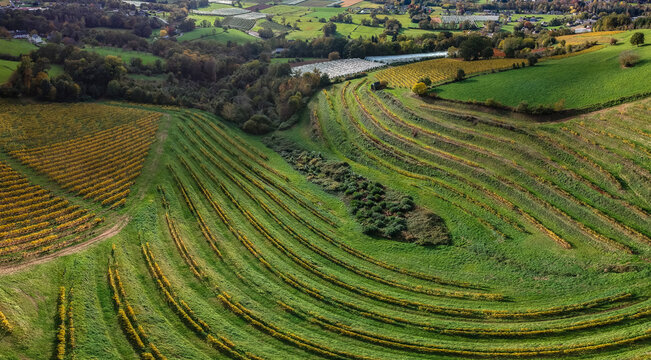 Allassac (Corr&egrave;ze, France) - La Chartroulle - Vue a&eacute;rienne des vignobles de la vall&eacute;e de la V&eacute;z&egrave;re en automne