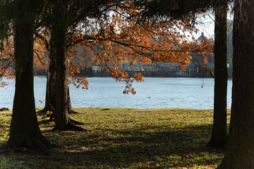 View of the lake in the park. Autumn landscape. Red foliage on the trees. Horizontal orientation.