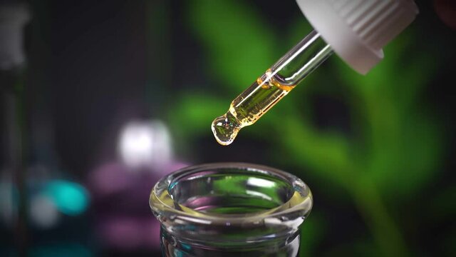 CBD Hemp oil, Hand holding droplet of Cannabis oil against blurry beaker background. Alternative Medicine. droplet dosing a biological and ecological hemp plant herbal pharmaceutical cbd oil.	
