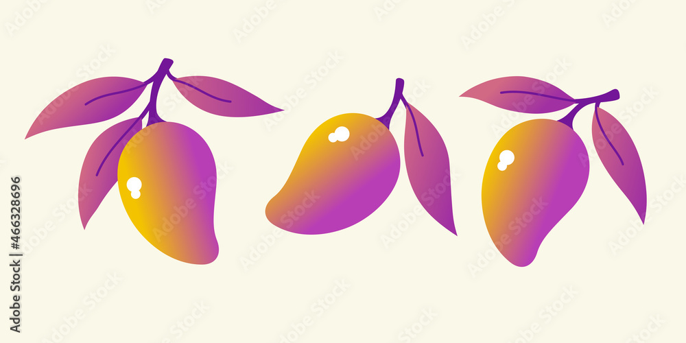 Poster a set of images of tropical mango fruits. fruit on a branch with leaves. isolated images on a light 