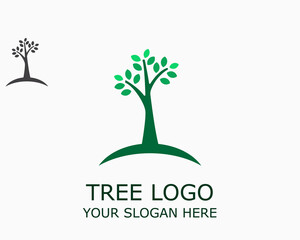 Obraz premium tree logo design template vector